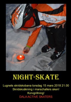 Night Skate_02b